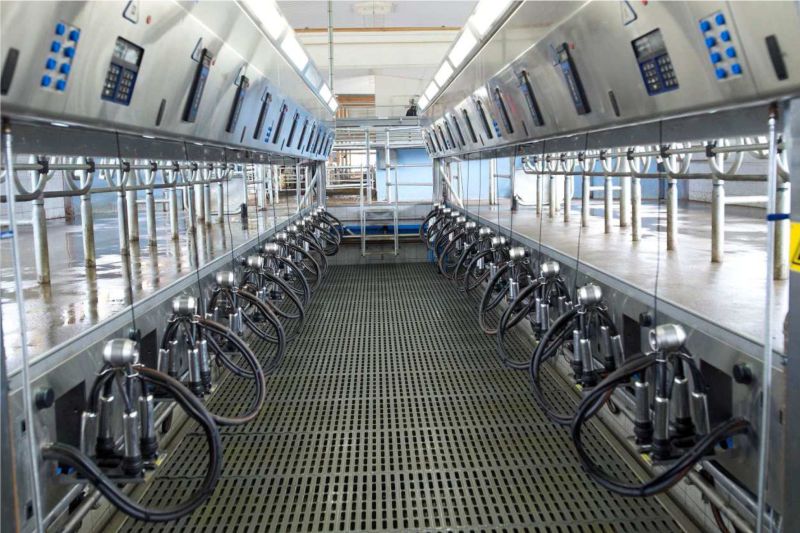 Обслуживание доильного оборудования