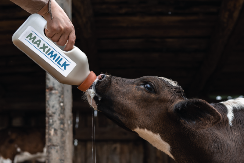 Производство кормов для сельскохозяйственных животных