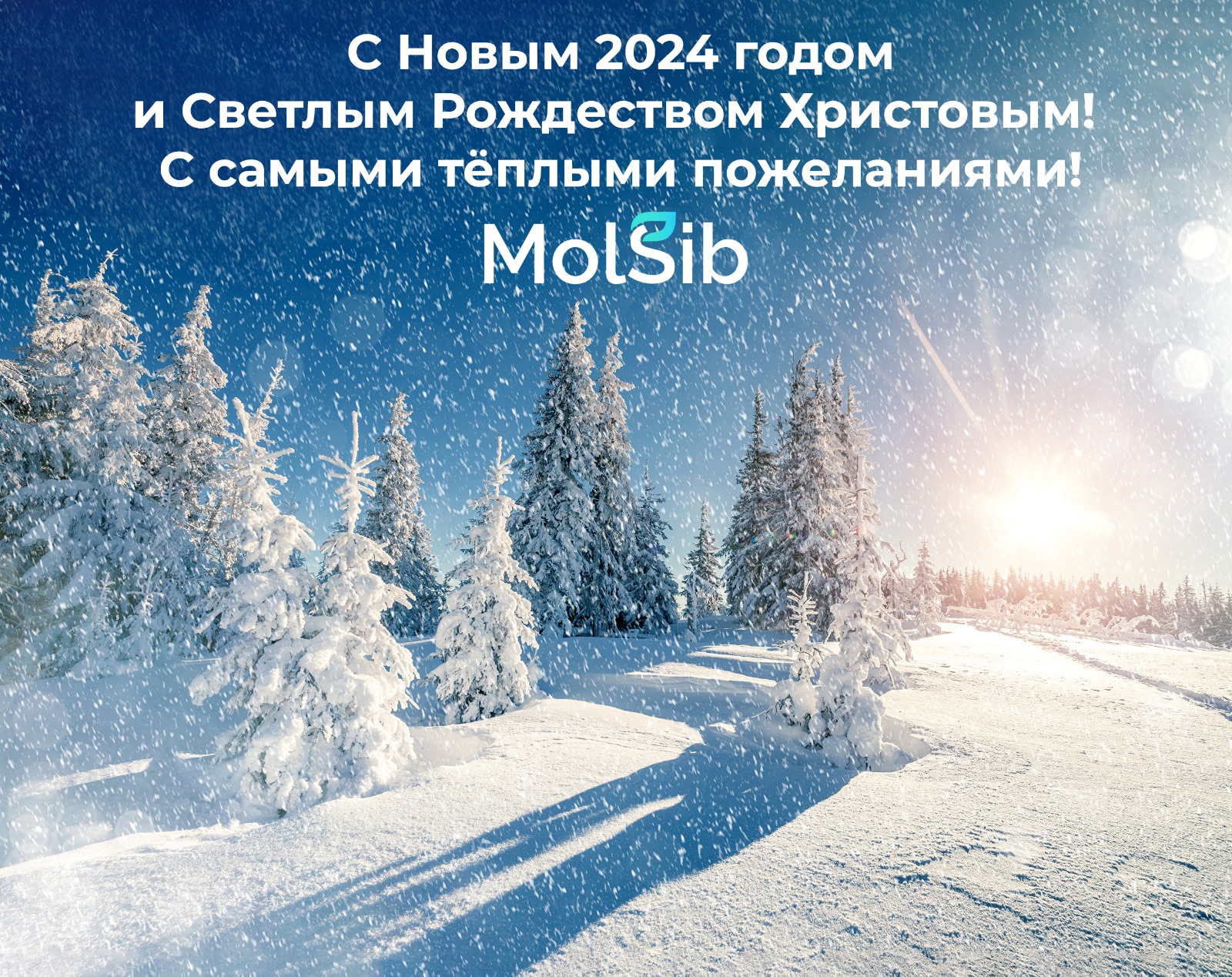 Поздравление Игоря Елисеенко с Новым 2024 годом и Рождеством Христовым