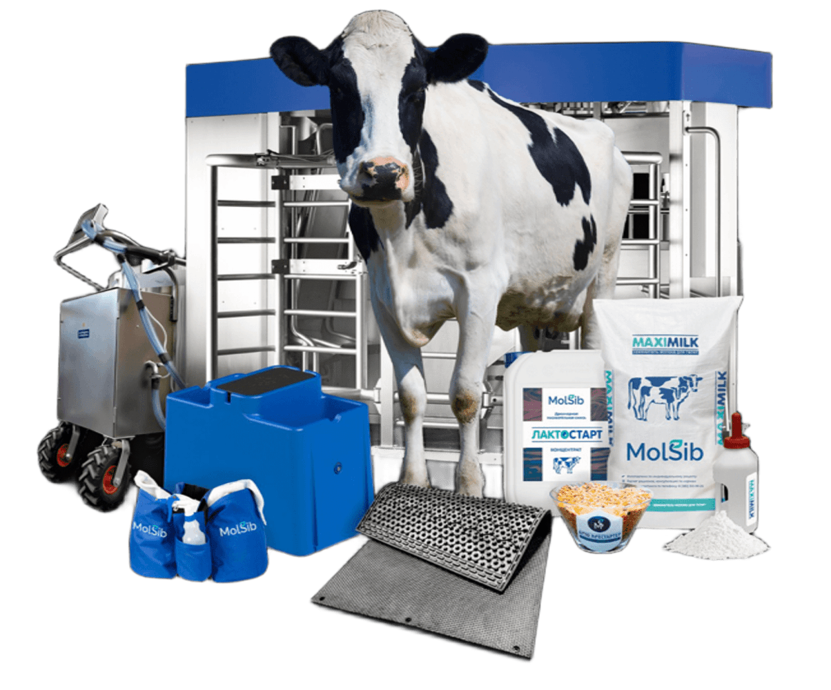Оборудование и корма МолСиб