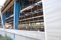 Вентиляционная штора CRAW