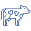 Продукты для коров