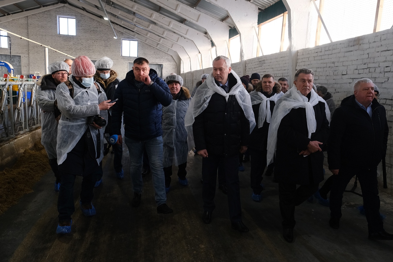 Губернатору Новосибирской области представили опыт внедрения роботов-дояров на фермах региона